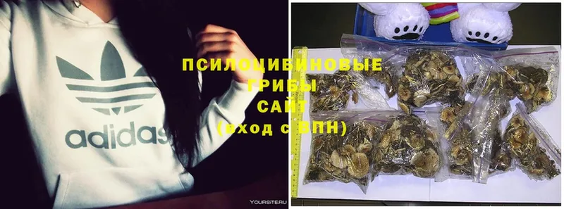 Галлюциногенные грибы GOLDEN TEACHER  Палласовка 